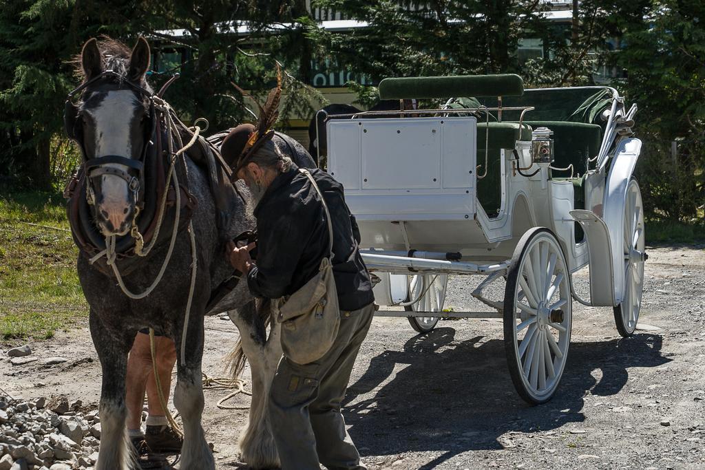Otira Stagecoach Hotel מראה חיצוני תמונה